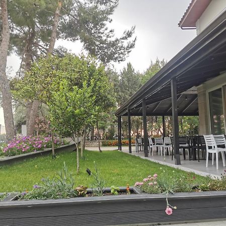 דיוויאקה Hotel Pelikan מראה חיצוני תמונה